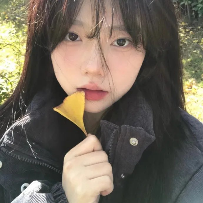 晴迷洛杉矶